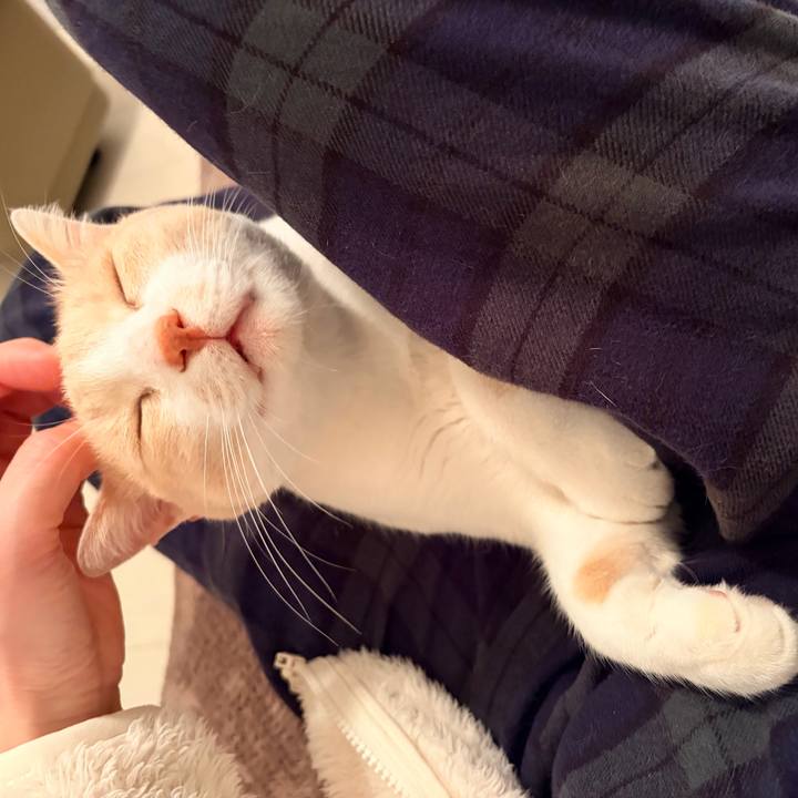 D2f93efe 0cd0 4528 b577 785464f3c698 1768650760804