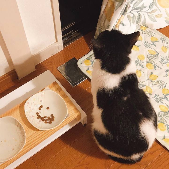 D2f98365 76e9 4dc3 811d 2fea2d7b54c1 1635067140692