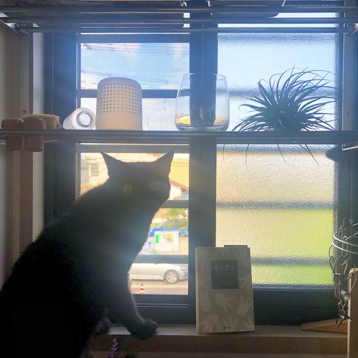 D2f9983d b2f4 44b3 a824 373a8f3c1cf9 1631661507643