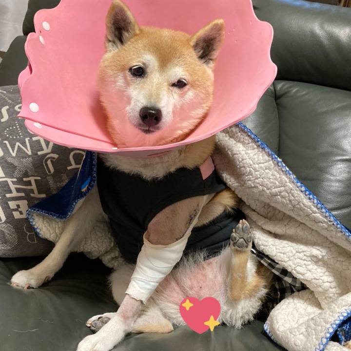 D2f9b6c5 fcac 405a be00 d135f16763d4 1638101252621