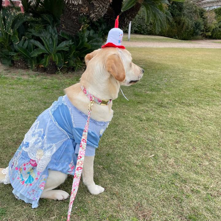 D2f9c57e 7fe5 4e14 bf81 683a41e599c6 1636892037231