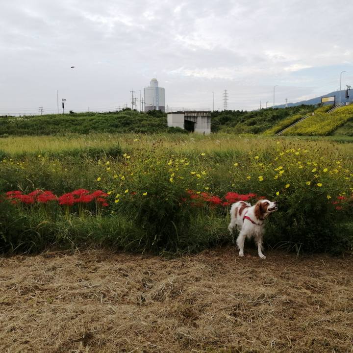 D2f9c795 c8ca 49d3 bf12 70d111698557 1569756001762