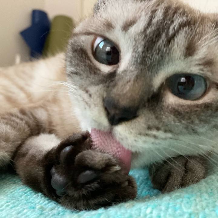 D2f9e398 6b6a 437e 8f56 9d0c51a4eeb2 1658965498207