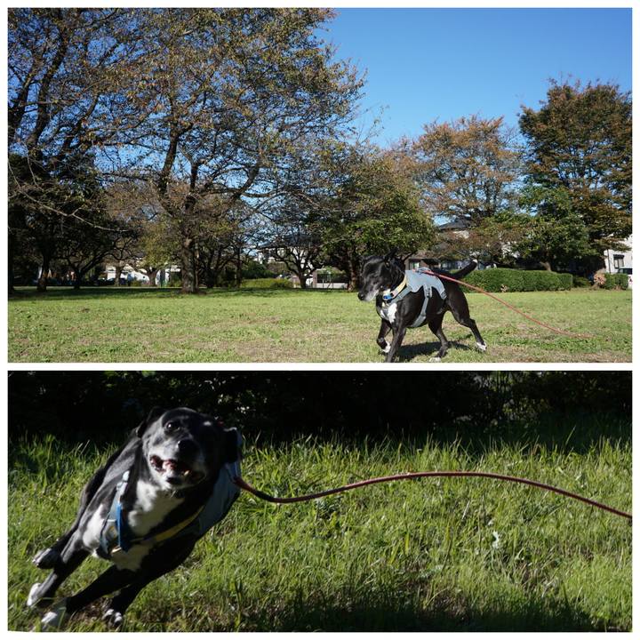 D2f9e8ce c94e 4966 ac74 713223ccb746 1762217695611