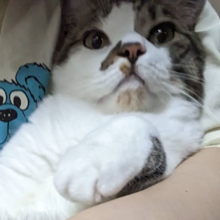 D2f9f4fc 6026 4e1c 8391 54490a50f674 1682724064464