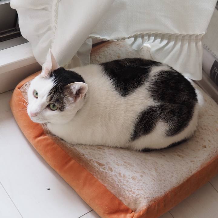 D2fa013d ddf2 455e 91d3 0687fba3d316 1554903130290