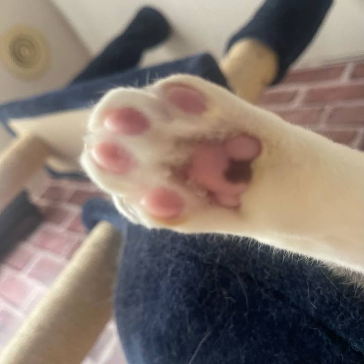 D2fa06ca cfd8 4ff8 8e4d 78df57f9783f 1703995097245