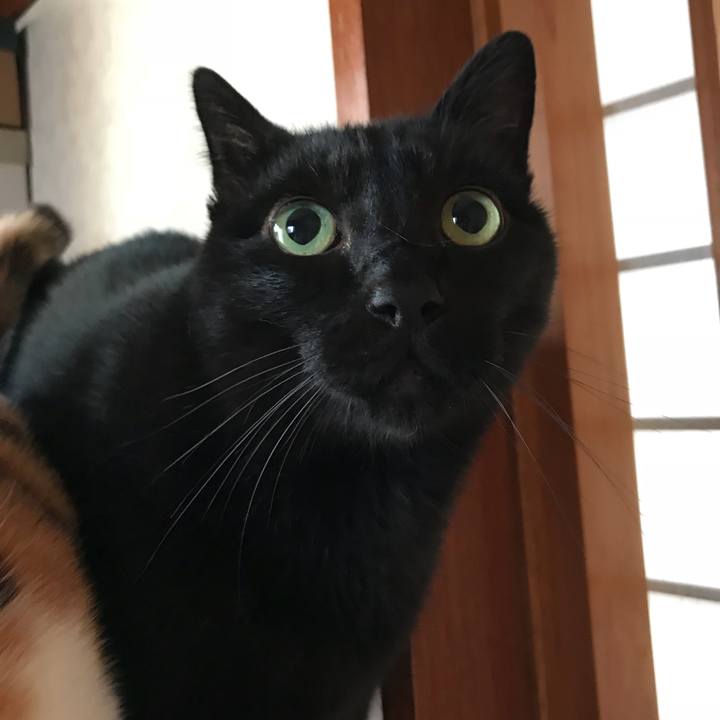 D2fa0fd6 2f99 4dcf 9845 514e9d05bef7 1511400449239