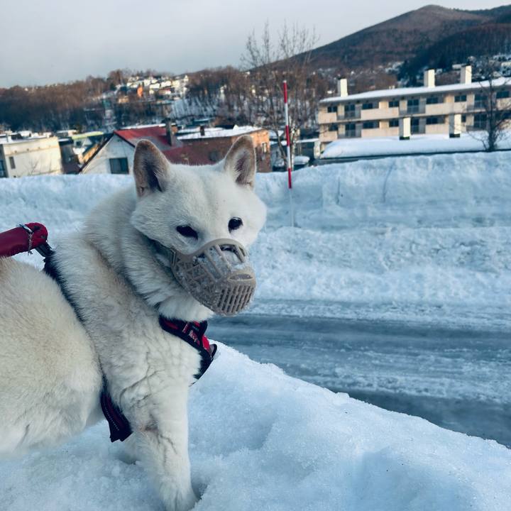 D2fa2366 6aa2 4aa5 ba5a 6cf29b90915f 1771798486779