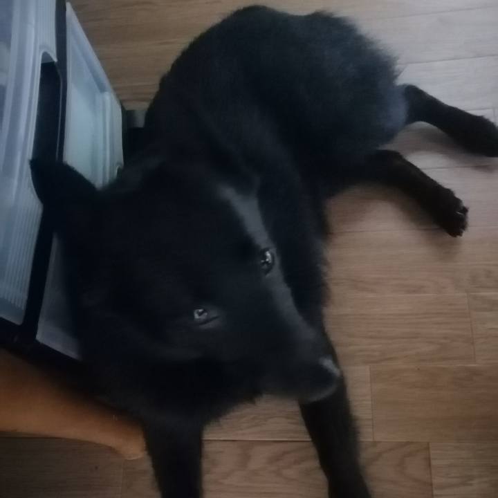 D2fa2419 ed98 43c3 9c42 ce38906edf81 1623537682353