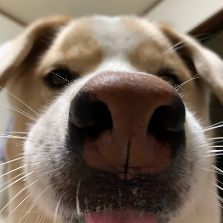 D2fa2b79 9aff 4d2b be63 3892f9dd98e5 1567594320890