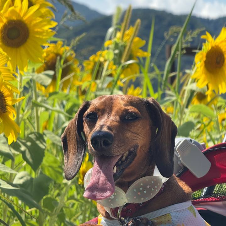 D2fa5285 4078 4689 9958 fc1b39bf5a09 1755872714836