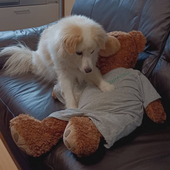 D2fa6998 dd81 4bbf a1bd 9273f649737d 1690956027791