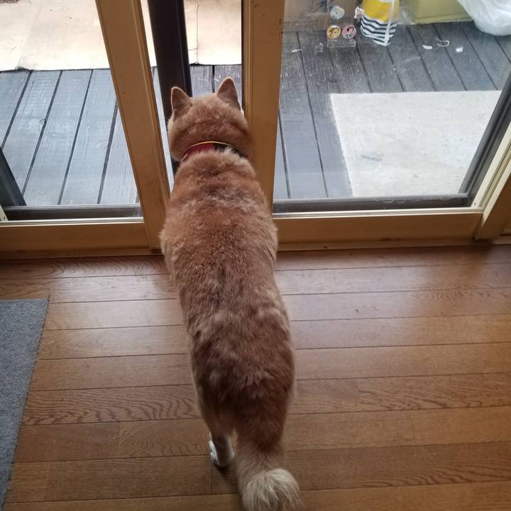 D2fa877c e78b 4282 9ea3 c17b3417652f 1737588718657