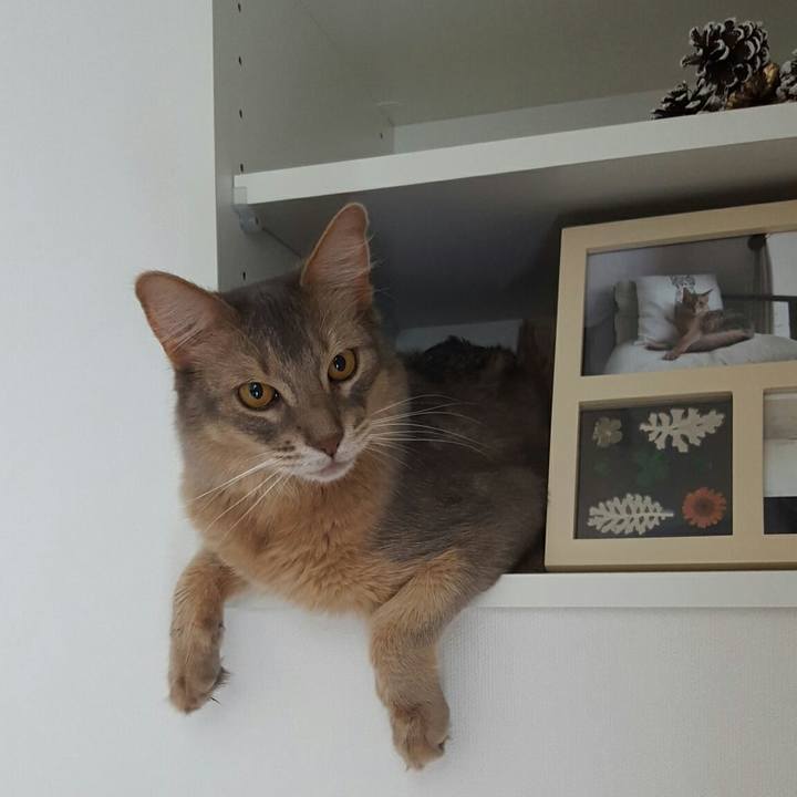 D2fa9b07 6b12 4598 b741 300d2d14ab3e 1528344622949