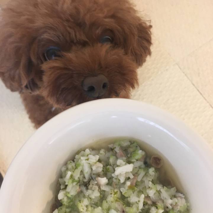 D2fab9c6 88c4 43fe b7a0 e6146db7f461 1532035890950