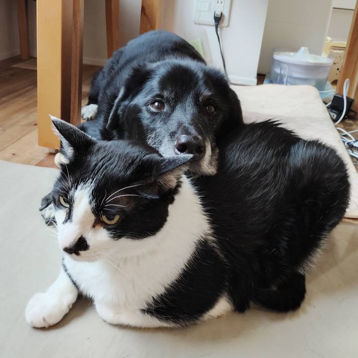 D2fac836 a6ce 4fe0 b299 d4e498054170 1774483304133