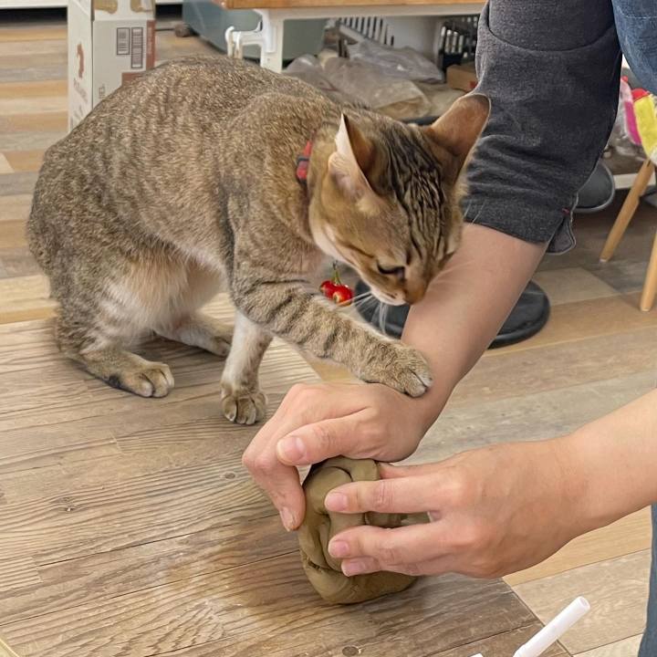 D2fae4f9 895b 4033 bda3 940f540e962d 1684378210110