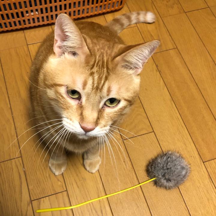 D2fae876 22e1 4f71 ab1d 68bcc85fbd04 1572605226001