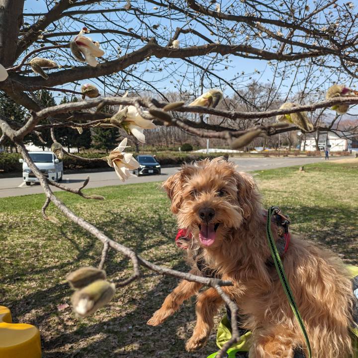 D2fafd9c 2987 45a6 b8de 8a834bd671cc 1713221368754