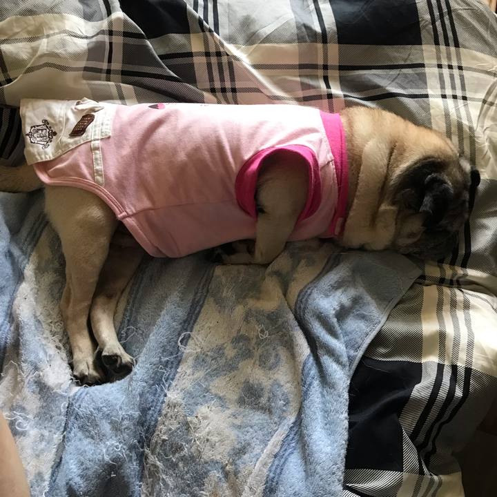 D2fb06ef 0efd 41f2 980a 73afd98c3be6 1564031401085