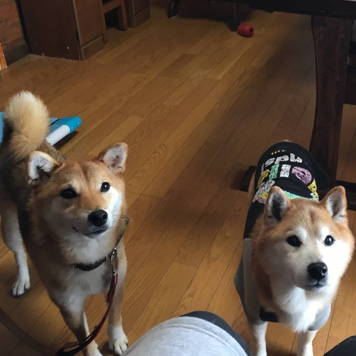 D2fb0767 c9ff 4cfe 896c 3f30c8fbc127 1533197634264