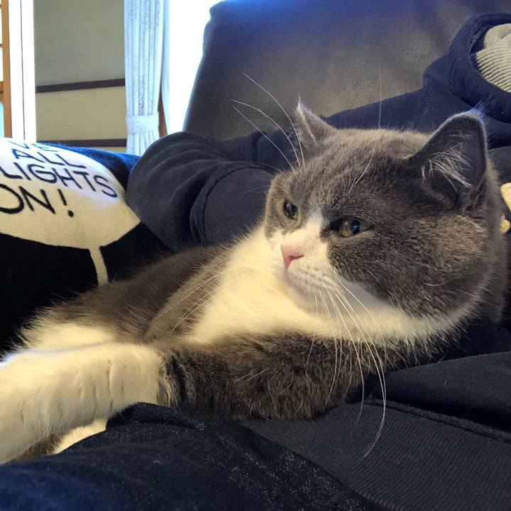 D2fb0ecb 18b2 4fe3 82c7 27c565bf54d8 1556350706549