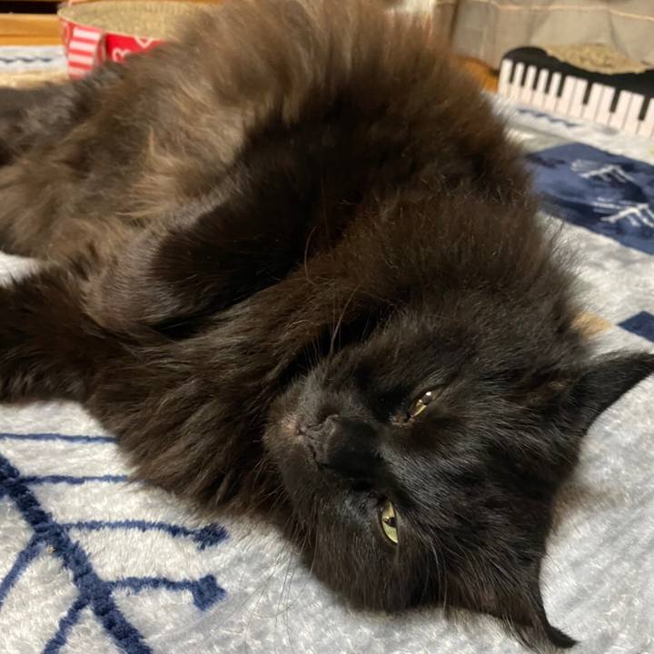 D2fb1773 554b 4ed4 b582 80ce66d0beca 1580910944764