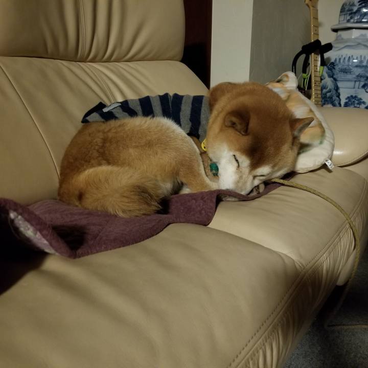 D2fb37fb f4ad 4c5c 852f 75c4f5d856e0 1578605761241