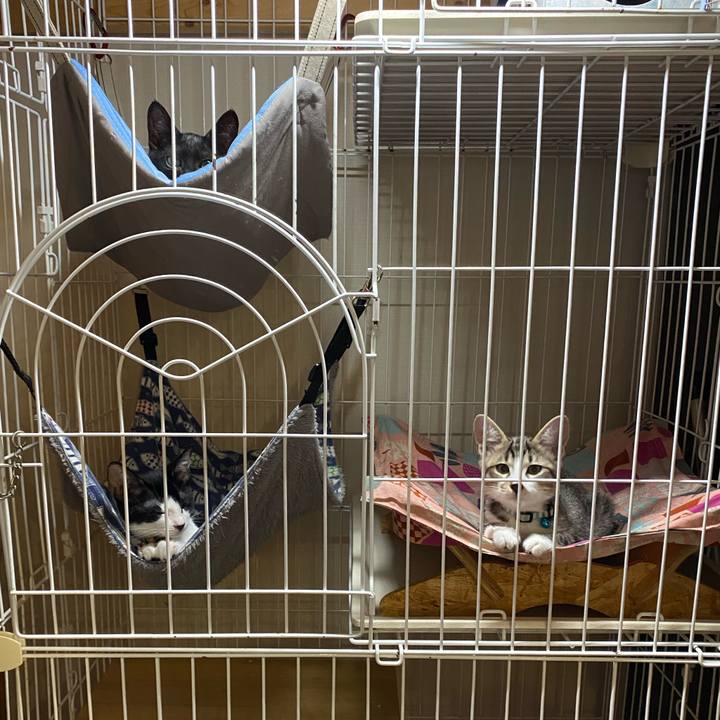 D2fb4358 5a91 4bbc 9c39 a20f7f4e9c29 1627825087345