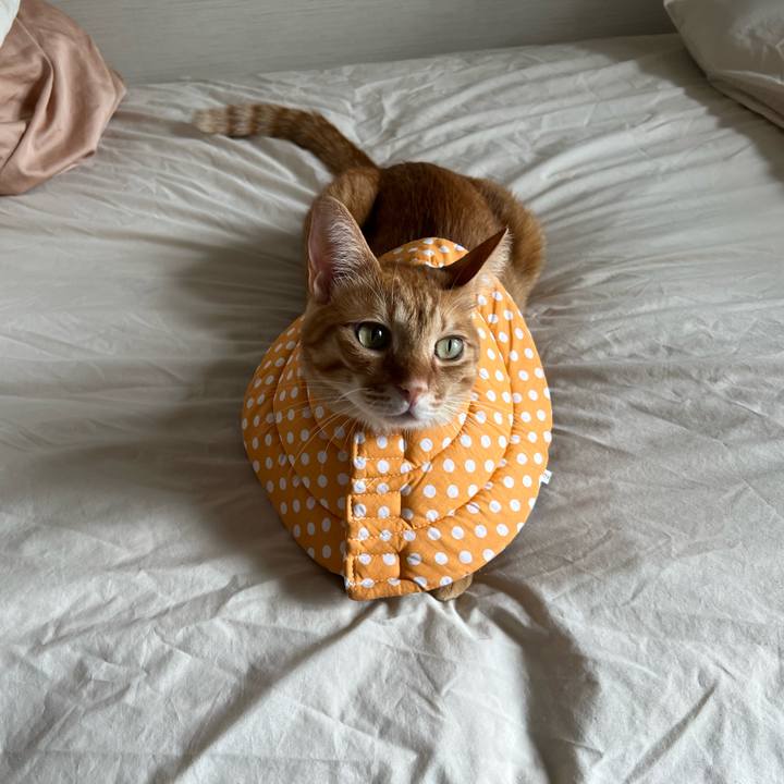 D2fb8b5a 7388 4cef 8a5b 26665a4e6150 1662865600853