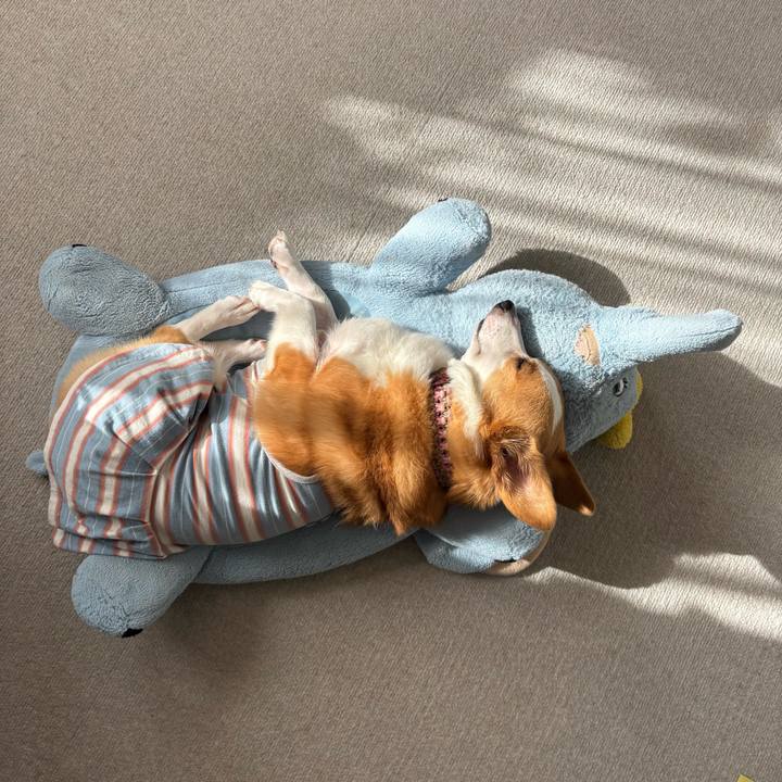 D2fb901a 92c7 47a5 aaab 1ebc43fed9e5 1757256692855