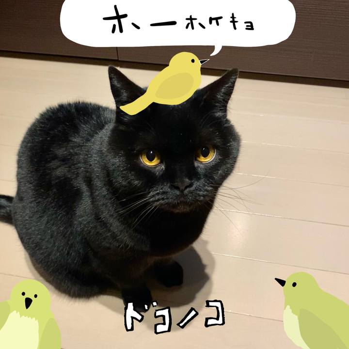 D2fbb118 dc7d 44c6 bae9 7ffbda6ff76c 1711019841574