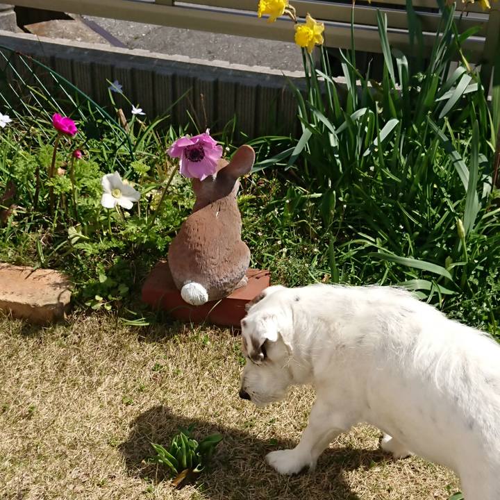 D2fbc074 53e7 4c8a 95d7 d40eaedc01a4 1553038361783