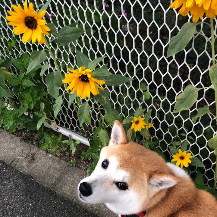 D2fbd247 9df9 4405 a548 a2c38b897c6f 1592344438251