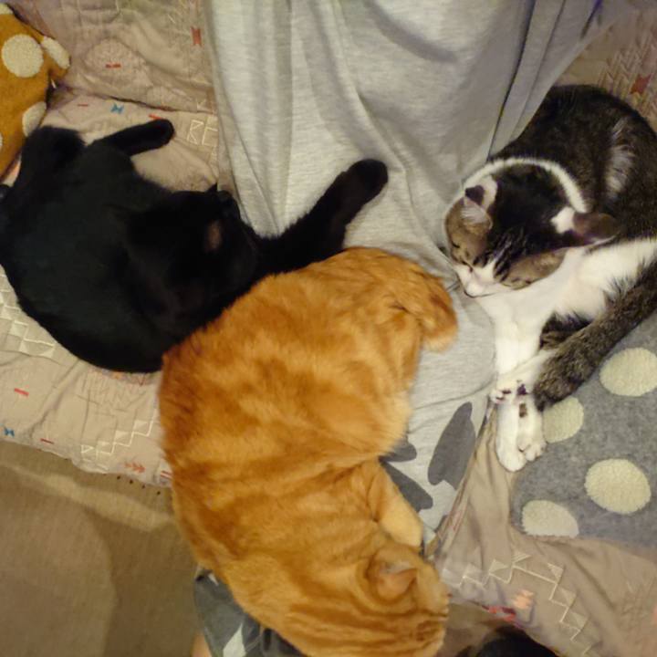 D2fbe676 3d22 4bcf 94ed 522cffc5ac80 1606820634901