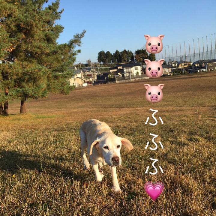 D2fc25b9 0840 4575 bb77 79f91fe5506a 1543282567378