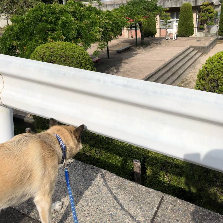 D2fc4033 9f1f 4b84 9b60 497fa87ba411 1590150955094