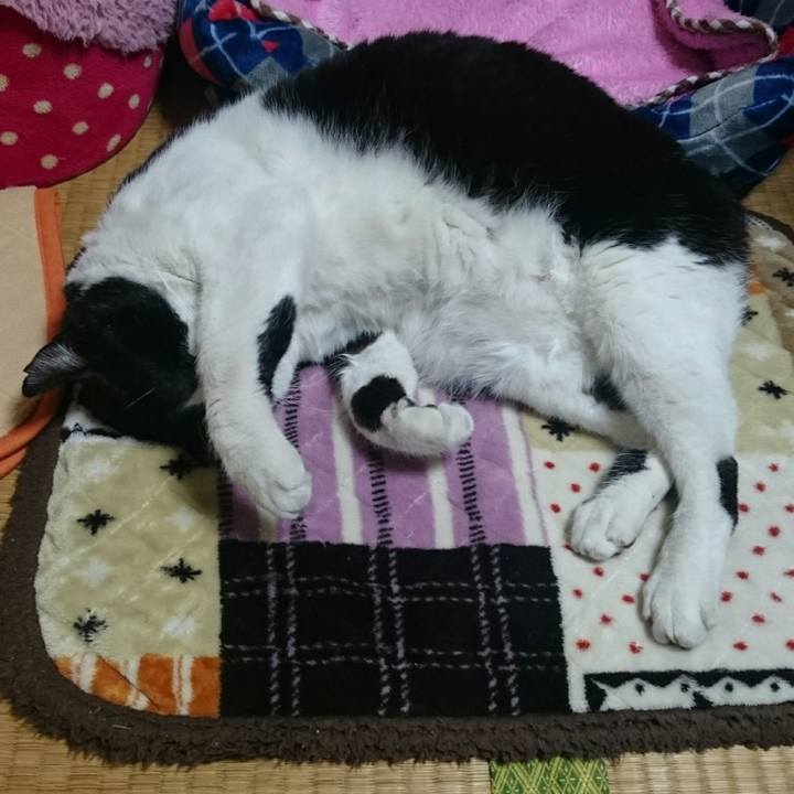 D2fc4784 f5f3 4234 b3d3 3444d190b928 1522068893054