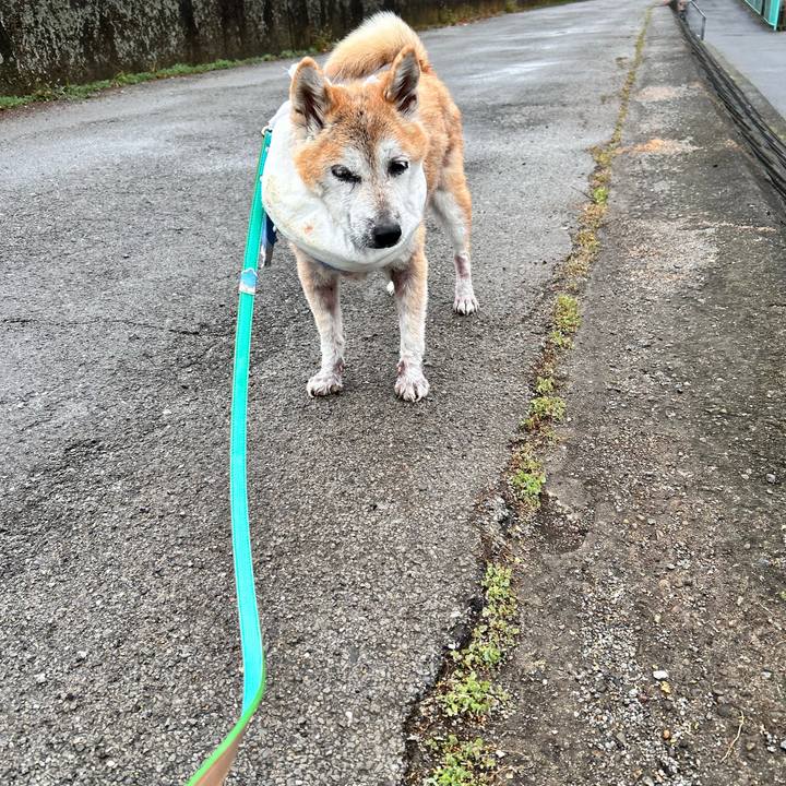 D2fc5d81 e738 4c15 b485 f8c97ed2f475 1765701321552