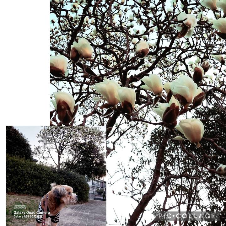 D2fcc26f 4ee3 497e 9ad5 9a13bac553d6 1678227015299