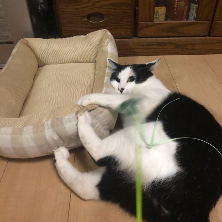 D2fccc19 a938 40aa 8f0d a2967a9167f4 1564854421461