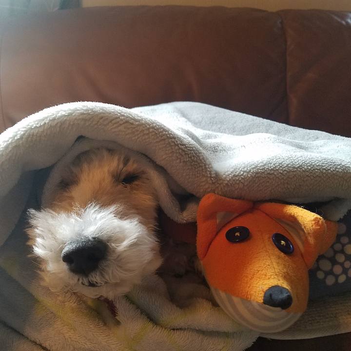 D2fce4e6 26b3 4597 8141 f2e34a18af2c 1576893165455