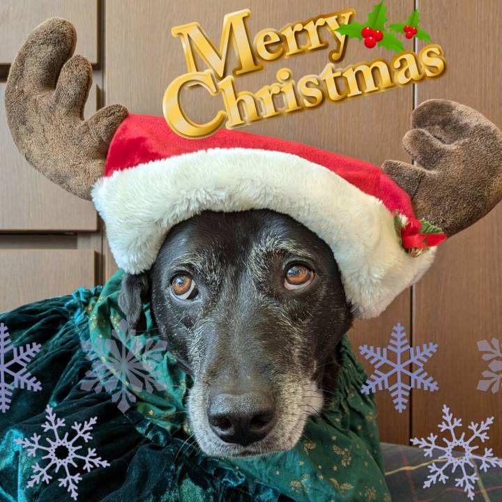 D2fcf7f8 b03d 4192 a46e 755b7adc4aba 1766557401889