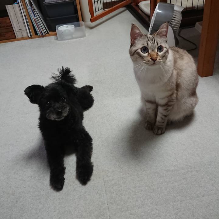 D2fcff05 26b6 4c53 9ced 194ca8c0bbe6 1568898599867