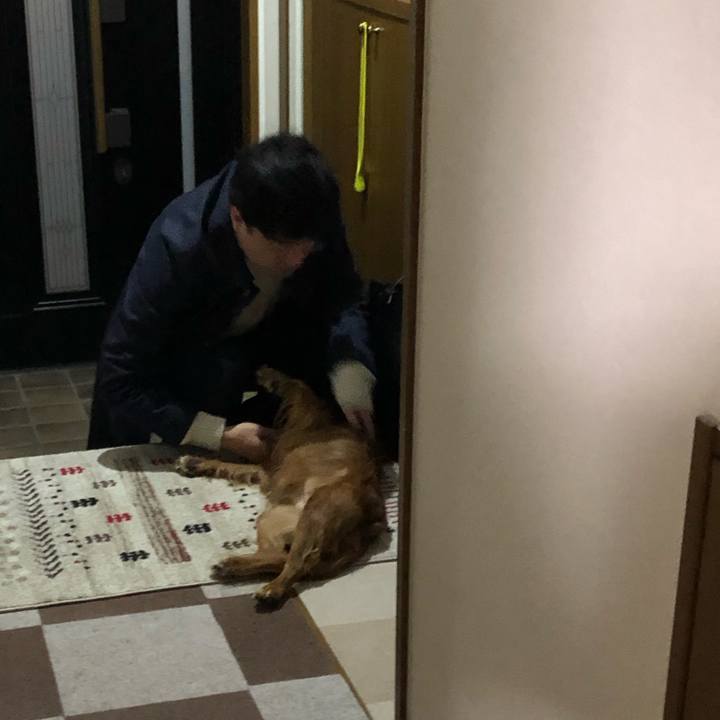 D2fd0859 f5b7 4eb9 9fe9 aee411653ea1 1605181215591