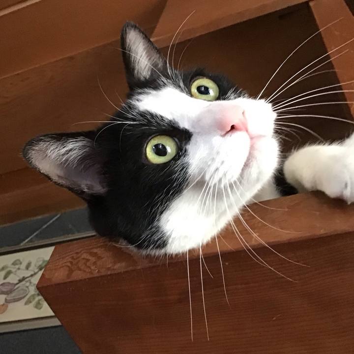 D2fd0b10 577f 4043 9e5d febb562a04a5 1743158541014