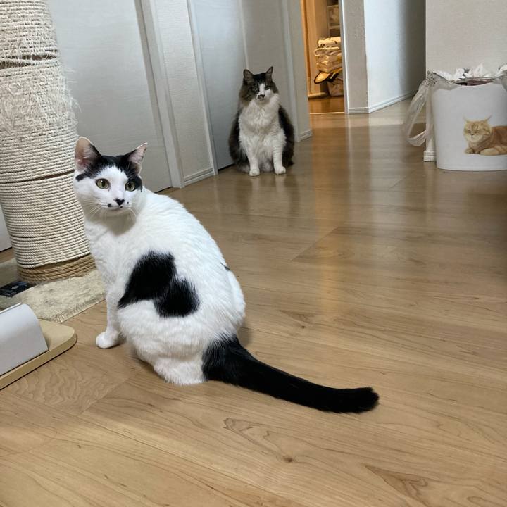 D2fd1818 43a7 43d2 8e87 d639fdb26d1a 1764532548096