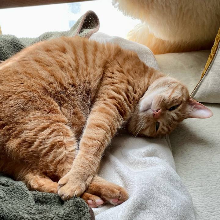 D2fd208f 31d5 43f0 9ed8 6685411cc882 1678002544662