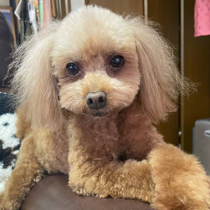 D2fd2277 081d 439f 9db6 71434244aaf8 1742038158985